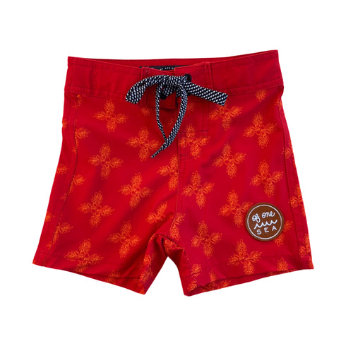 kid-s-townshorts-in-red-breadfruit-bandana-of-one-sea - Sophia's Style -6
